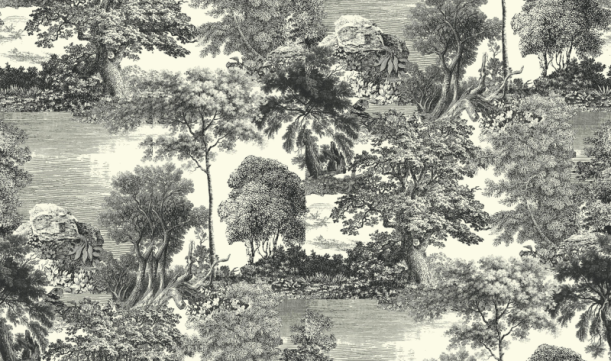 Fototapeet Salcey Forest