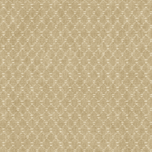 Tapeet Ikat Textile TA25031