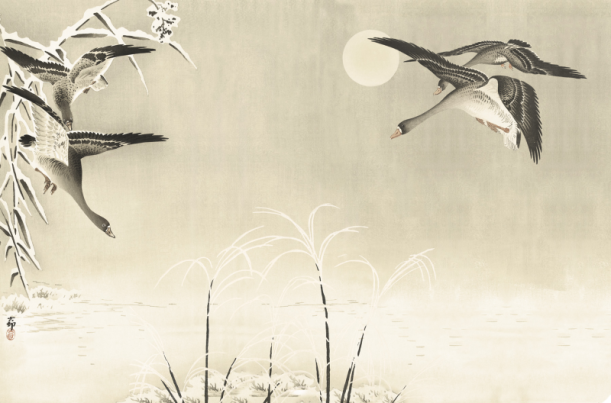 Fototapeet Oriental Ducks V103-1