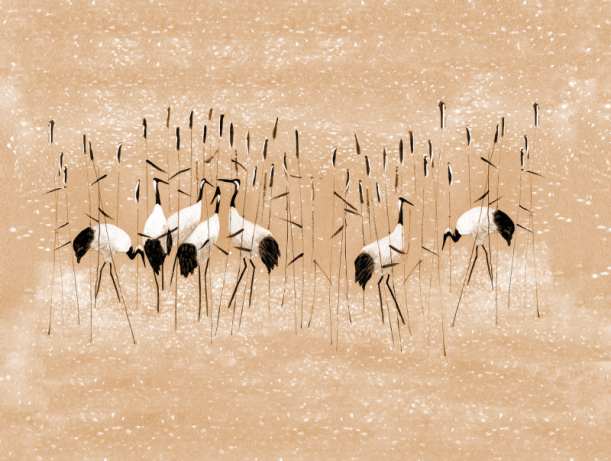 Fototapeet Pond V104-2