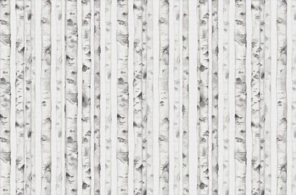 Fototapeet White Forest V107-2