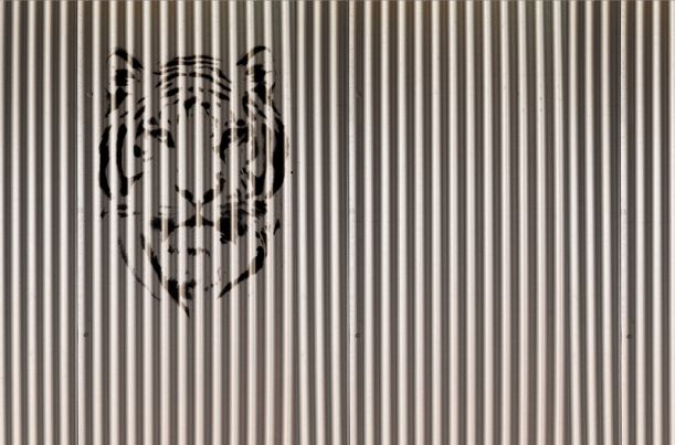 Fototapeet Tiger V125-2