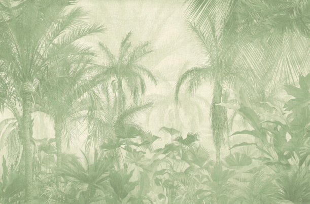 Fototapeet Borneo V148-1