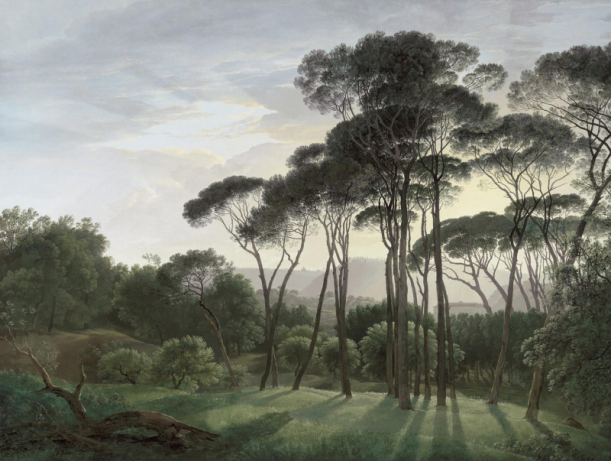 Fototapeet Umbrella Trees V151-2