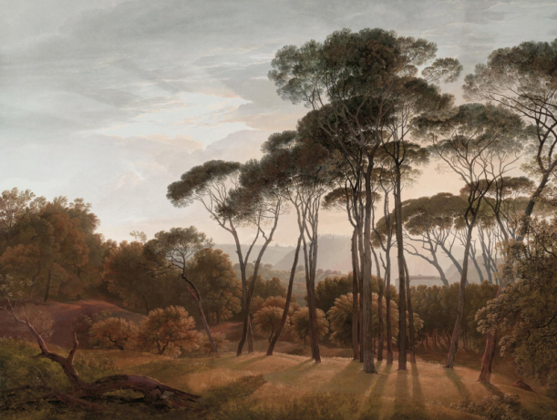 Fototapeet Umbrella Trees V151-3