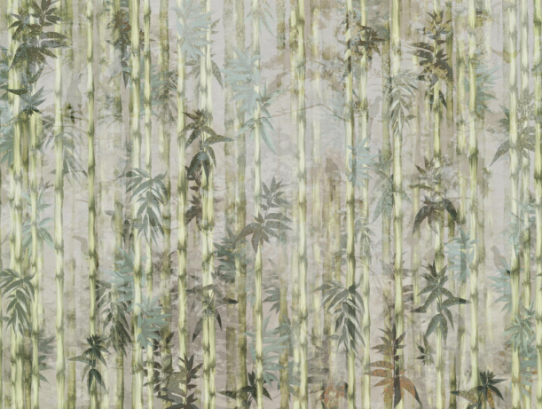 Fototapeet Bamboo Forest V152-2