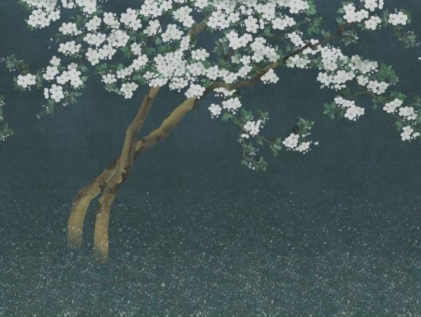 Fototapeet Nana V154-3