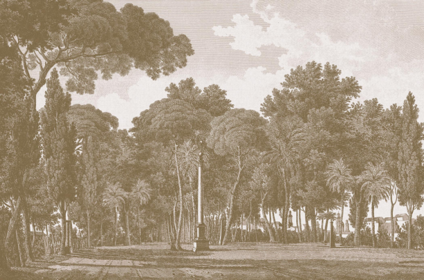 Fototapeet Alameda V162-2