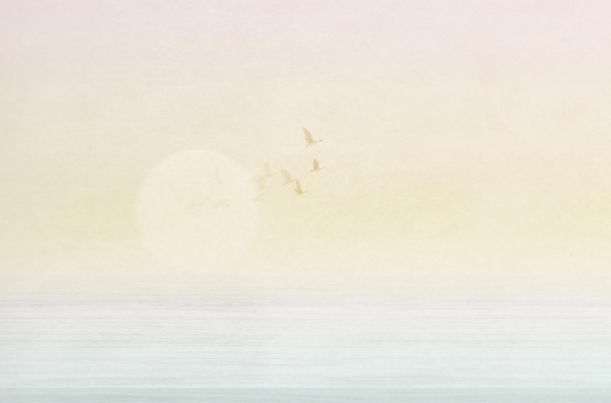 Fototapeet Sunset V170-1