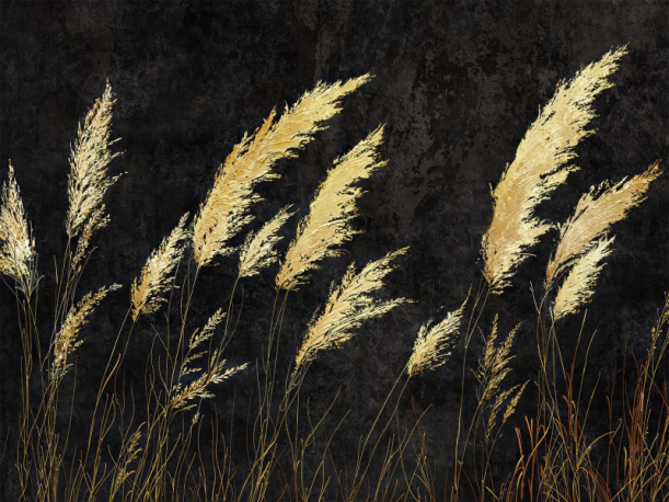 Fototapeet Verina 1000312402