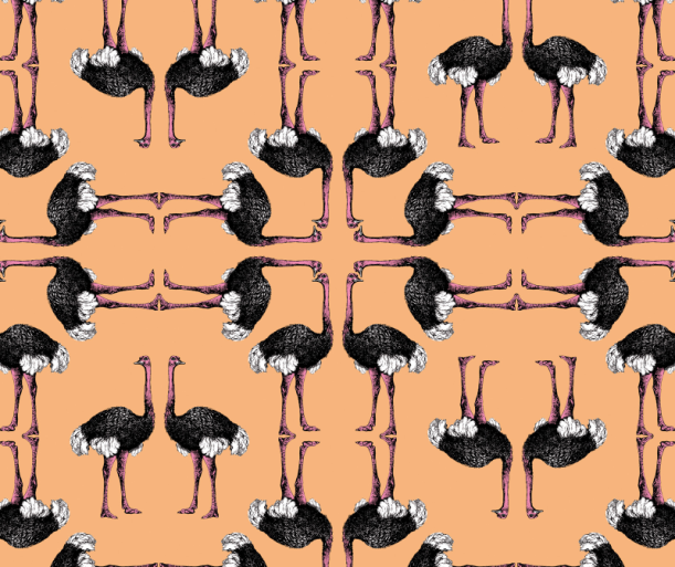 Tapeet Avestruces WP181051