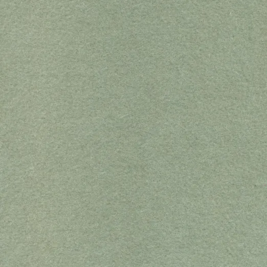 Akustiline seinakatte Walt Cameo 606