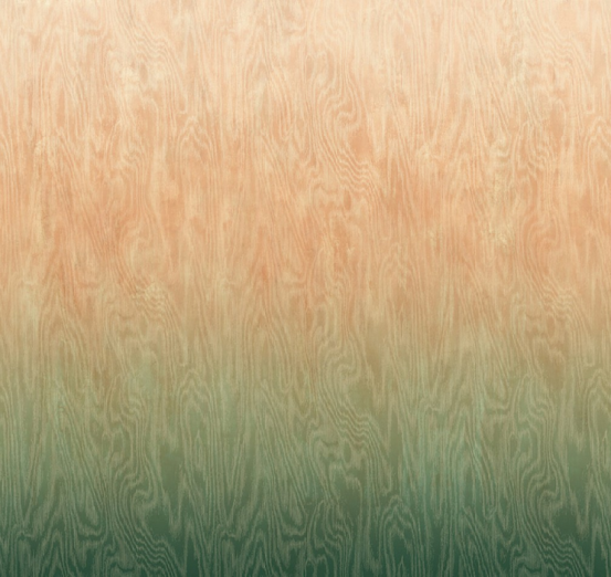 Fototapeet Moiré River