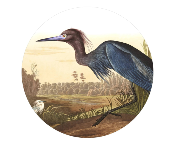 Isekleepuv tapeet Dots Bird Grass