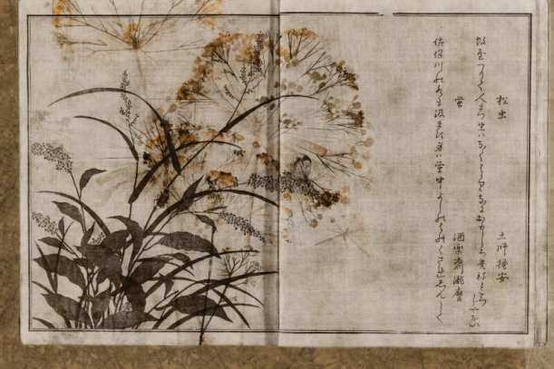 Fototapeet Nara GLAR251A