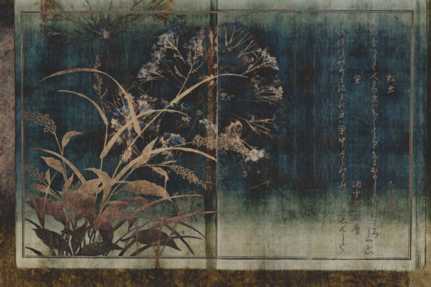 Fototapeet Nara GLAR252A