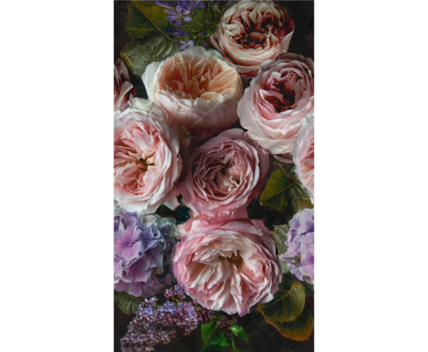 Fototapeet One Roll One Motif A52101